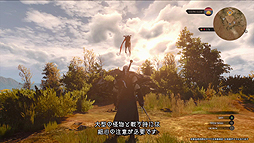 画像ギャラリー No.006のサムネイル画像 / 「ウィッチャー3 ワイルドハント」の最新ゲームプレイトレイラーが公開。一つのサイドクエストを例にフィールドでの移動から戦闘までを紹介