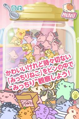 みっちりねこみっくす