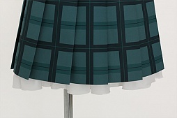 ���������꡼ No.016�Υ���ͥ������ / �ִϤ���ס��̾�������������Ѥ��Ƥ���������8������ȯ�����