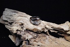 ���������꡼ No.007�Υ���ͥ������ / �ִϤ���פο������Ϥ������դˤ�������С���󥰤��о졣����å���