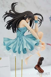 ���������꡼ No.137�Υ���ͥ������ / �������ե����ƥ��Х�2016���ߡϤ����š�������ϥե����奢�ȥ����ץ���濴�˻��Ƥ��Ƥ���