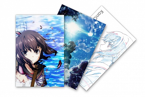 ꡼ No.003Υͥ / ַ Ϥסȯ䤬ȡȤǤϡױ