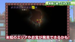 ���������꡼ No.002�Υ���ͥ������ / �֥ƥ�ꥢ�ץ����������ɤդ�����Υ��塼�ȥꥢ�������������