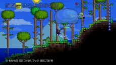 ���������꡼ No.005�Υ���ͥ������ / �֥ƥ�ꥢ�פ�ŹƬ�θ���5��16��������ǡ�5��18�������ǳ��ŷ���