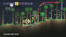 ���������꡼ No.001�Υ���ͥ������ / ����ȯ���PlayStation 3�ѥ��եȡ֥ƥ�ꥢ�ס��ϲ������˥ե������������ץ��⡼�����ࡼ�ӡ���2�Ƥ�������