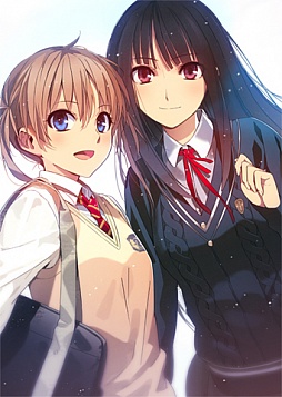 ꡼ No.004 | ֥꡼ Ӥεȯ䵭ǰWeb饸429ۿ