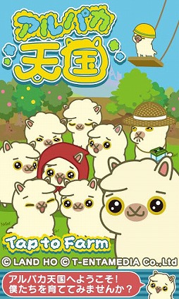 ����ѥ�ŷ��