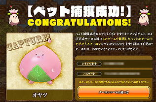 ���������꡼ No.019�Υ���ͥ������ / ����MMORPG���˶��Υ��쥤���פΥ��������ɦ¥ƥ�������������Ȥ�4000̾ʬ���硣4Gamer�ɼ��ȤǤα�������³��������