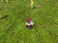 ꡼ No.006Υͥ / ˶Υ쥤סץ¥ƥȤɲä륳ƥĤѹǤ