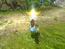 ꡼ No.007Υͥ / ˶Υ쥤סץ¥ƥȤɲä륳ƥĤѹǤ