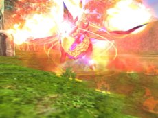 ꡼ No.023Υͥ / ˶Υ쥤פΥåץǡȤ»ܡǡ֥ϡפ2Ĥοޥåפʤɤ