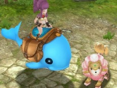 ꡼ No.021Υͥ / ˶Υ쥤סPvPƥġ֥ȥ饢꡼ʡפֱͺ εספȤΥܤ2Ƥ