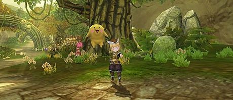 ꡼ No.017Υͥ / ˶Υ쥤סȱͺ εסɤΡ֥פ֥ƥפΥХƥޤȢ쥤⡼о