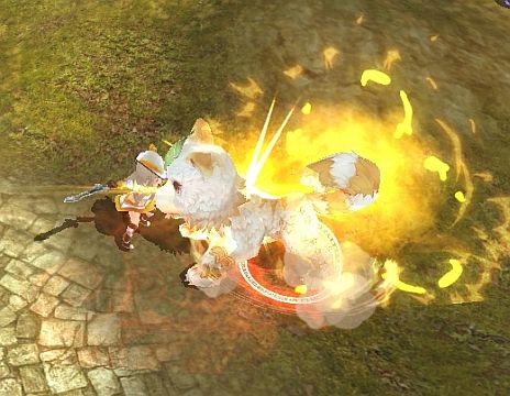 ꡼ No.008Υͥ / ˶Υ쥤סåץǡȡֿƳפ»ܤˡ٥50ʾ夬оݤοޥåס֥ĥ顦ɲá٥¤60ޤǳ