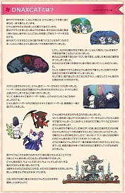 画像ギャラリー No.006のサムネイル画像 / 「碧空のグレイス」で「DNA×CAT」とのコラボレーションがスタート