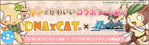 ���������꡼ No.001�Υ���ͥ������ / ���˶��Υ��쥤���ס����ѤΥ������DNA��CAT�פȤΥ������2�Ƥ����Ϥ�