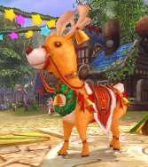 ꡼ No.005 | ˶Υ쥤סꥹޥ٥Ȥ1226ޤǳ