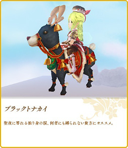 ꡼ No.016 | ˶Υ쥤סꥹޥ٥Ȥ1226ޤǳ