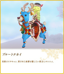 ꡼ No.017 | ˶Υ쥤סꥹޥ٥Ȥ1226ޤǳ