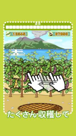 Ʀ���Ф��Ĥᡡmameshiba collect