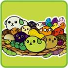 �ѥå�����