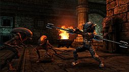 ꡼ No.003 | AVP Evolution