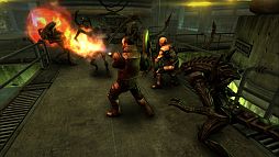 ꡼ No.004 | AVP Evolution