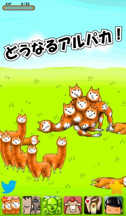 アルパカにいさん