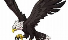 ꡼ No.003 | ֥ʥޥ֥GO 饯סŵ¢ǡDVDդ ´ȥХפ˷