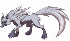 ꡼ No.005 | ֥ʥޥ֥GO 饯סŵ¢ǡDVDդ ´ȥХפ˷