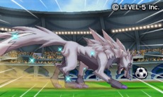 ꡼ No.006 | ֥ʥޥ֥GO 饯סŵ¢ǡDVDդ ´ȥХפ˷