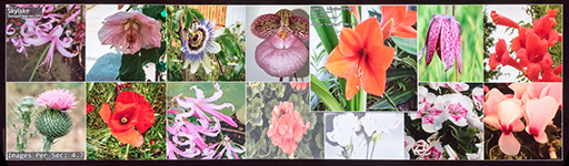 ꡼ No.007 | GPU㤨ФǤ롩 2017ǯAIʬˤNVIDIA礷Jensen HuangˤGTC Japan 2017Ĵֱݡ