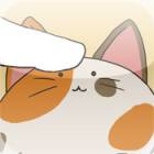 �ѥå�����