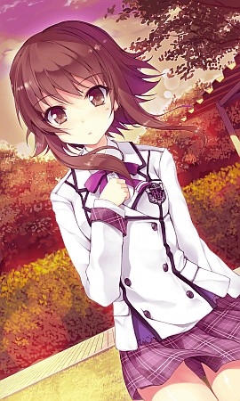 ���������꡼ No.013�Υ���ͥ������ / Android�ǡֻ䤬�����ä��Ƥ����롪�פ��緿��˥塼���롣������Ͽ������