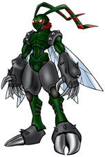 ꡼ No.007 | ֥ǥ ꡧǥ ǥɡסԥɡֺŤⲦӤΰƤ俷˻魯ǥξʤɤ