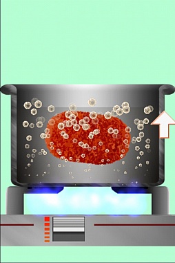 ���������꡼ No.002�Υ���ͥ������ / �ᤶ�����󤬤ꥭ�ĥͿ������ޡ��ȥե�������Ȥ�ʪ������֥ۡ���ᥤ�ɥ����å��פ�Ҳ𤹤�֡ʤۤܡ��������ޥۥ������̿�����211��