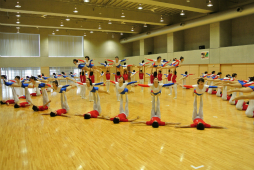 ꡼ No.063 | ΰBASARA4פΡȿطΡɤƸðۤΥѥեޥ󥹤ˤä괶ưƤޤäϿͤݡ