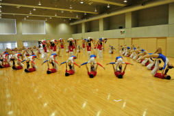 ꡼ No.064 | ΰBASARA4פΡȿطΡɤƸðۤΥѥեޥ󥹤ˤä괶ưƤޤäϿͤݡ