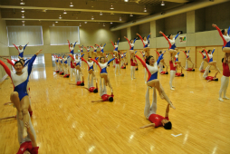 ꡼ No.065 | ΰBASARA4פΡȿطΡɤƸðۤΥѥեޥ󥹤ˤä괶ưƤޤäϿͤݡ