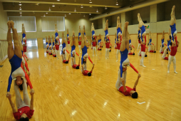 ꡼ No.066 | ΰBASARA4פΡȿطΡɤƸðۤΥѥեޥ󥹤ˤä괶ưƤޤäϿͤݡ