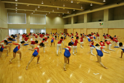 ꡼ No.068 | ΰBASARA4פΡȿطΡɤƸðۤΥѥեޥ󥹤ˤä괶ưƤޤäϿͤݡ