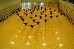 ꡼ No.076 | ΰBASARA4פΡȿطΡɤƸðۤΥѥեޥ󥹤ˤä괶ưƤޤäϿͤݡ