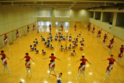 ꡼ No.077 | ΰBASARA4פΡȿطΡɤƸðۤΥѥեޥ󥹤ˤä괶ưƤޤäϿͤݡ