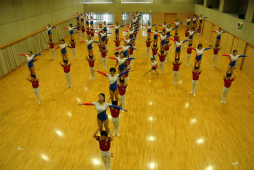 ꡼ No.079 | ΰBASARA4פΡȿطΡɤƸðۤΥѥեޥ󥹤ˤä괶ưƤޤäϿͤݡ