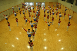 ꡼ No.080 | ΰBASARA4פΡȿطΡɤƸðۤΥѥեޥ󥹤ˤä괶ưƤޤäϿͤݡ