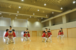 ꡼ No.087 | ΰBASARA4פΡȿطΡɤƸðۤΥѥեޥ󥹤ˤä괶ưƤޤäϿͤݡ