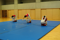 ꡼ No.089 | ΰBASARA4פΡȿطΡɤƸðۤΥѥեޥ󥹤ˤä괶ưƤޤäϿͤݡ