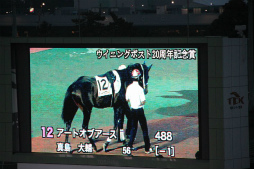 ���������꡼ No.004�Υ���ͥ������ / ��Winning Post�ץ��꡼��20��ǯ��ǰ�������졼���֥����˥󥰥ݥ���20��ǯ��ǰ�ޡפ����������涥�Ͼ�ˤƳ���