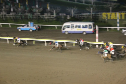 ���������꡼ No.008�Υ���ͥ������ / ��Winning Post�ץ��꡼��20��ǯ��ǰ�������졼���֥����˥󥰥ݥ���20��ǯ��ǰ�ޡפ����������涥�Ͼ�ˤƳ���