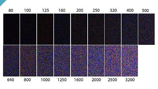 ꡼ No.014 | GTMFϡKite Demoפǡ16kmιʥꥢɤ3ǴȾץץϷˡȤ